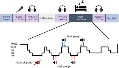 Self-Conscious Affect Is Modulated by Rapid Eye Movement Sleep but Not by Targeted Memory Reactivation–A Pilot Study